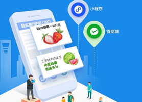 抖音小程序
