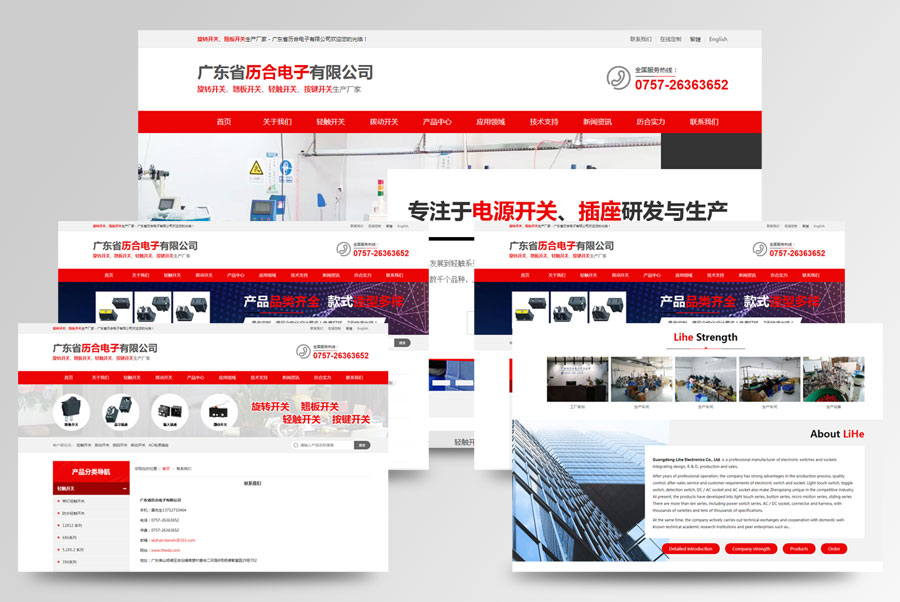中英文网站设计,营销型网站设计,营销型定制开发