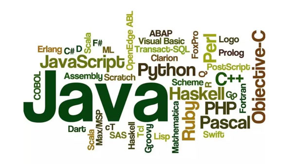 什么是动态网页