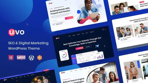 WordPress制作外贸独立站教程:基础与域名