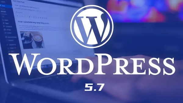 WordPress制作外贸独立站教程:主机与商业模板