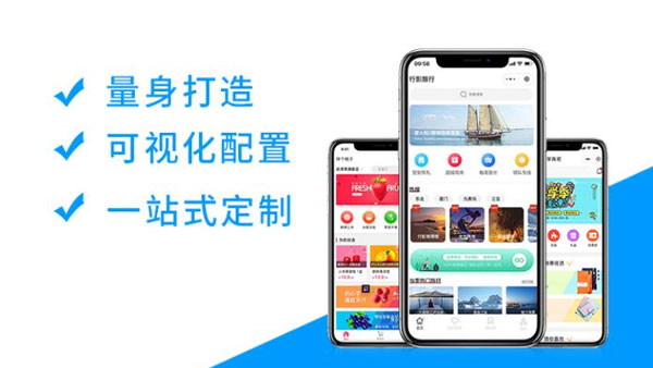 高端小程序开发定制