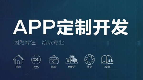定制APP开发成本